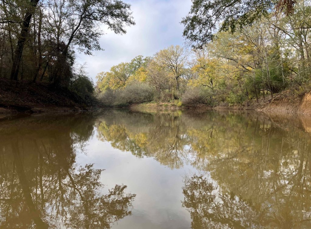 Kayak paddle scenery picture Neches River, Hwy 21 Launch, going up, www.SawdustRiver.com