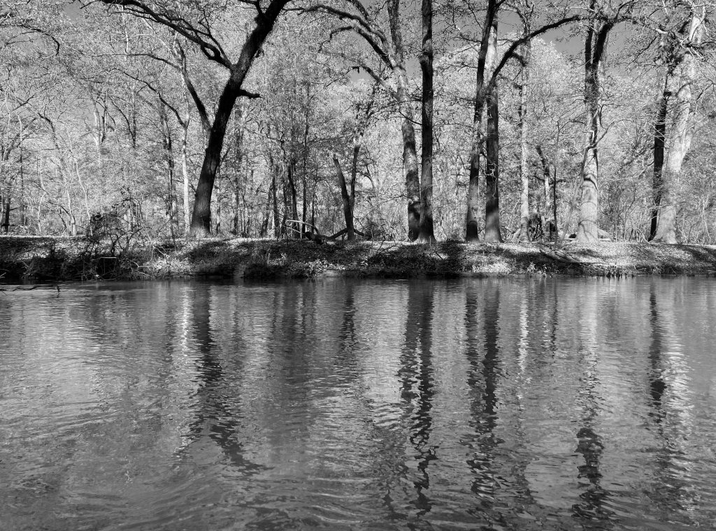 Kayak paddle scenery picture Neches River, Hwy 84 Access Launch, going down, www.SawdustRiver.com