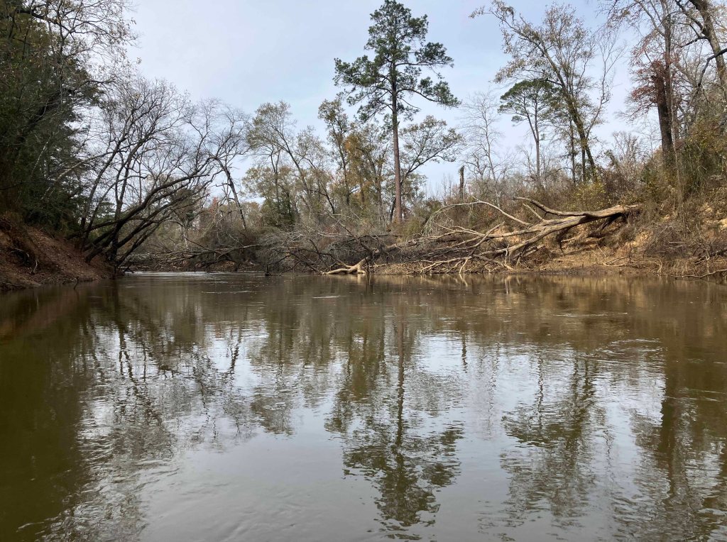 Kayak paddle scenery picture Neches River, Hwy 294 Launch, going up, www.SawdustRiver.com
