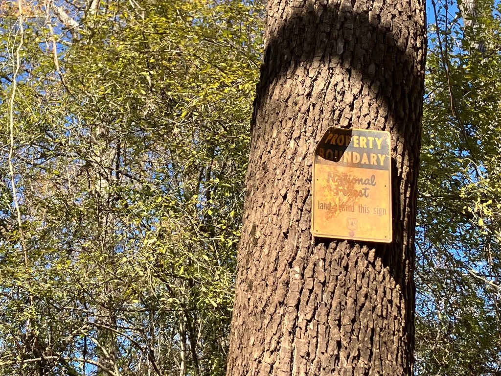 Kayak paddle scenery picture Neches River, CR 1155 2829 Launch, going up, www.SawdustRiver.com