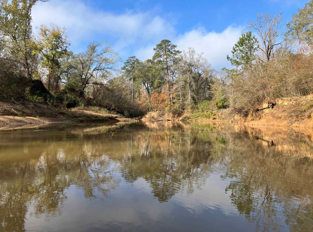 Kayak paddle scenery picture Neches River, Hwy 21 Launch, going up, www.SawdustRiver.com
