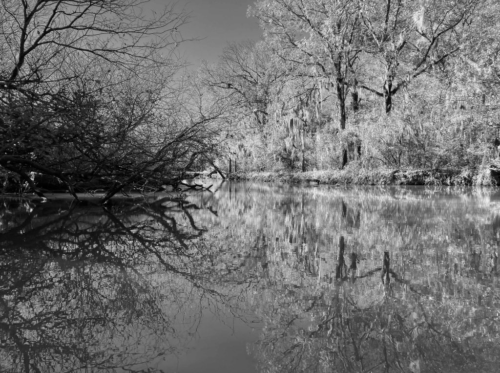 Kayak paddle scenery picture Neches River, Hwy 84 Access Launch, going down, www.SawdustRiver.com