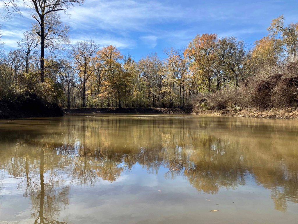 Kayak paddle scenery picture Neches River, CR 1155 2829 Launch, going up, www.SawdustRiver.com