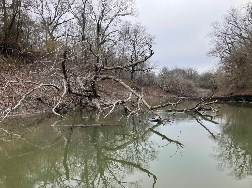 Kayak paddle scenery picture Sulphur River, Hwy 259 Launch going upstream, above Wright Patman www.SawdustRiver.com
