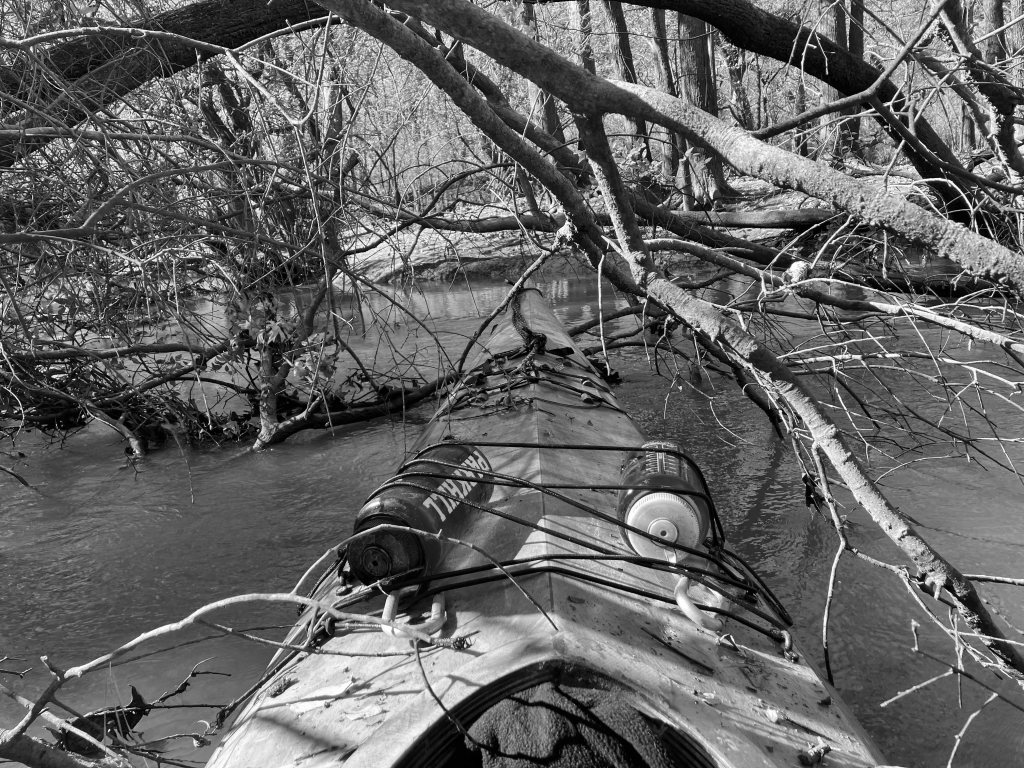 Kayak paddle scenery picture Neches River, Hwy 84 Access Launch, going down, www.SawdustRiver.com