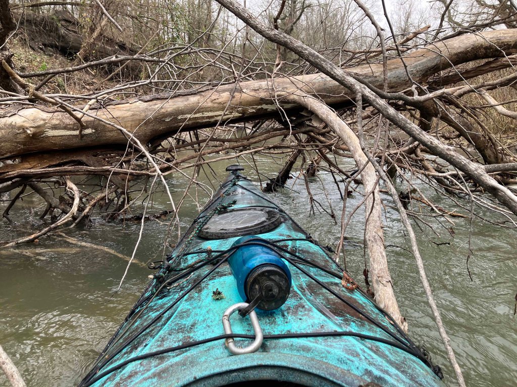 Kayak paddle scenery picture Sulphur River, Hwy 259 Launch going upstream, above Wright Patman www.SawdustRiver.com