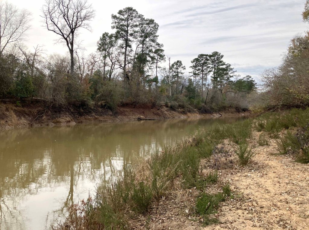 Kayak paddle scenery picture Neches River, Hwy 294 Launch, going up, www.SawdustRiver.com