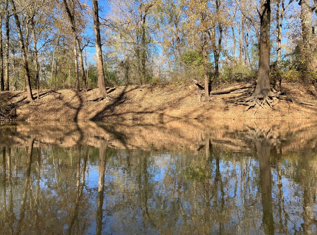 Kayak paddle scenery picture Neches River, CR 1155 2829 Launch, going up, www.SawdustRiver.com