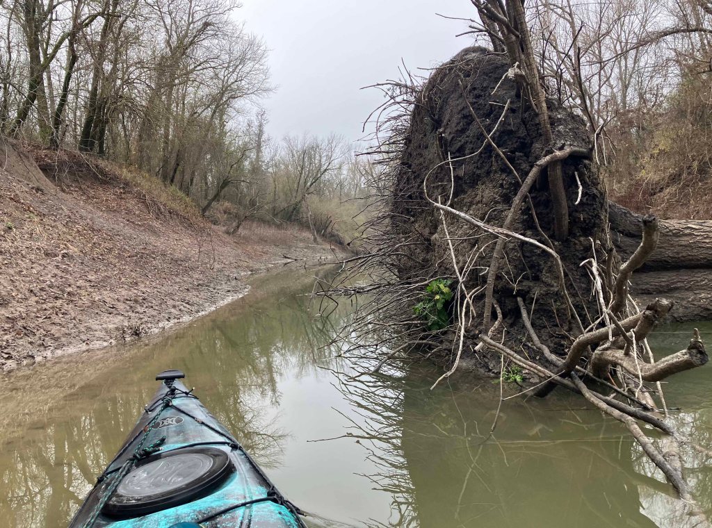 Kayak paddle scenery picture Sulphur River, Hwy 259 Launch going upstream, above Wright Patman www.SawdustRiver.com
