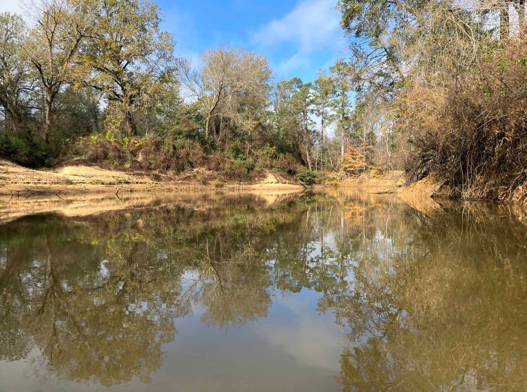 Kayak paddle scenery picture Neches River, Hwy 21 Launch, going up, www.SawdustRiver.com