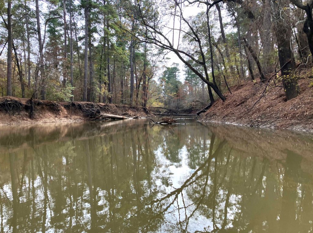 Kayak paddle scenery picture Neches River, Hwy 294 Launch, going up, www.SawdustRiver.com
