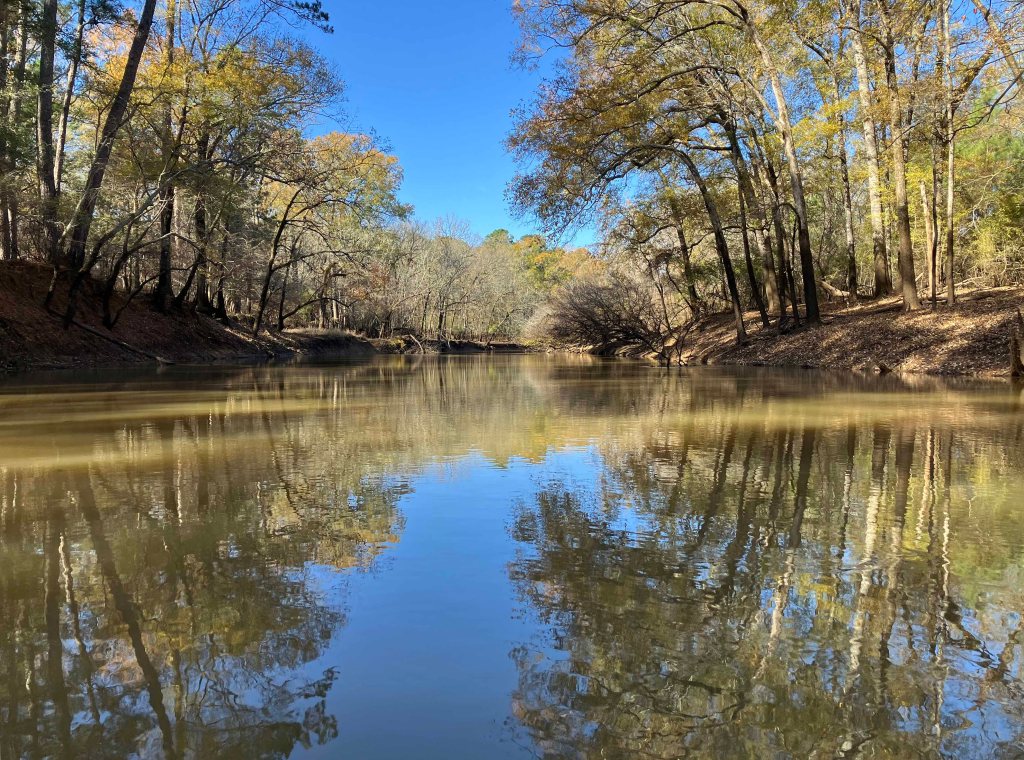Kayak paddle scenery picture Neches River, CR 1155 2829 Launch, going up, www.SawdustRiver.com