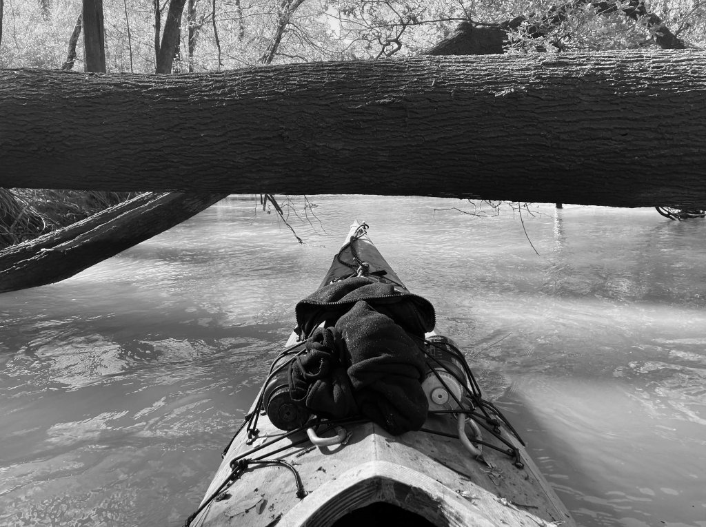 Kayak paddle scenery picture Neches River, Hwy 84 Access Launch, going down, www.SawdustRiver.com