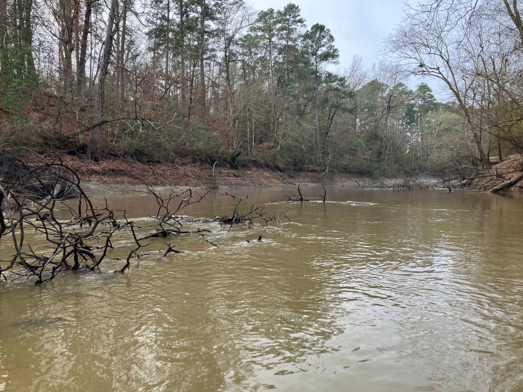 Kayak paddle scenery picture Neches River, Hwy 94 Launch Launch, going up, www.SawdustRiver.com