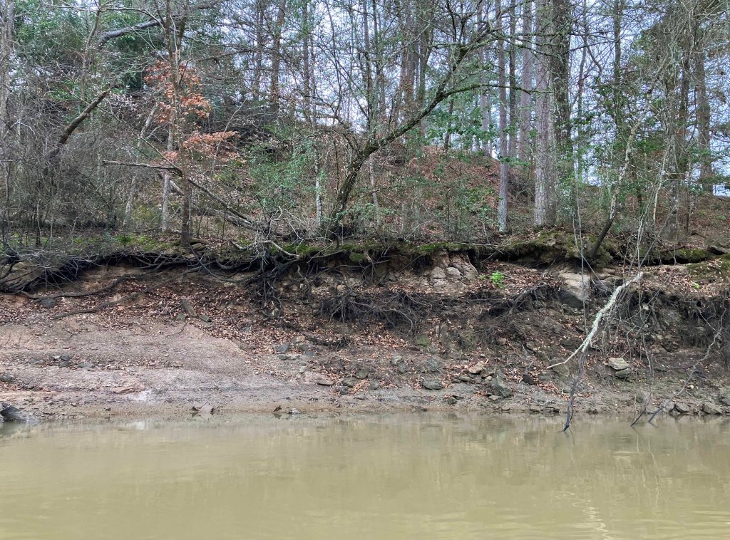 Kayak paddle scenery picture Neches River, Hwy 94 Launch Launch, going up, www.SawdustRiver.com