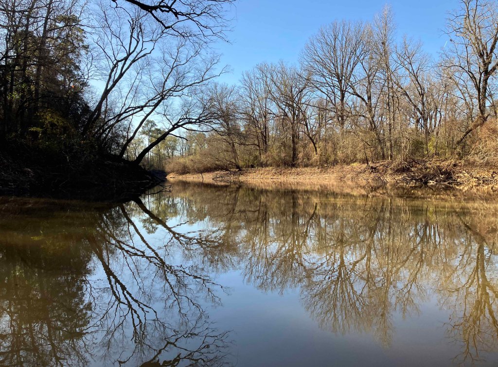 Kayak paddle scenery picture Neches River, Highway 59 Launch, going up, www.SawdustRiver.com