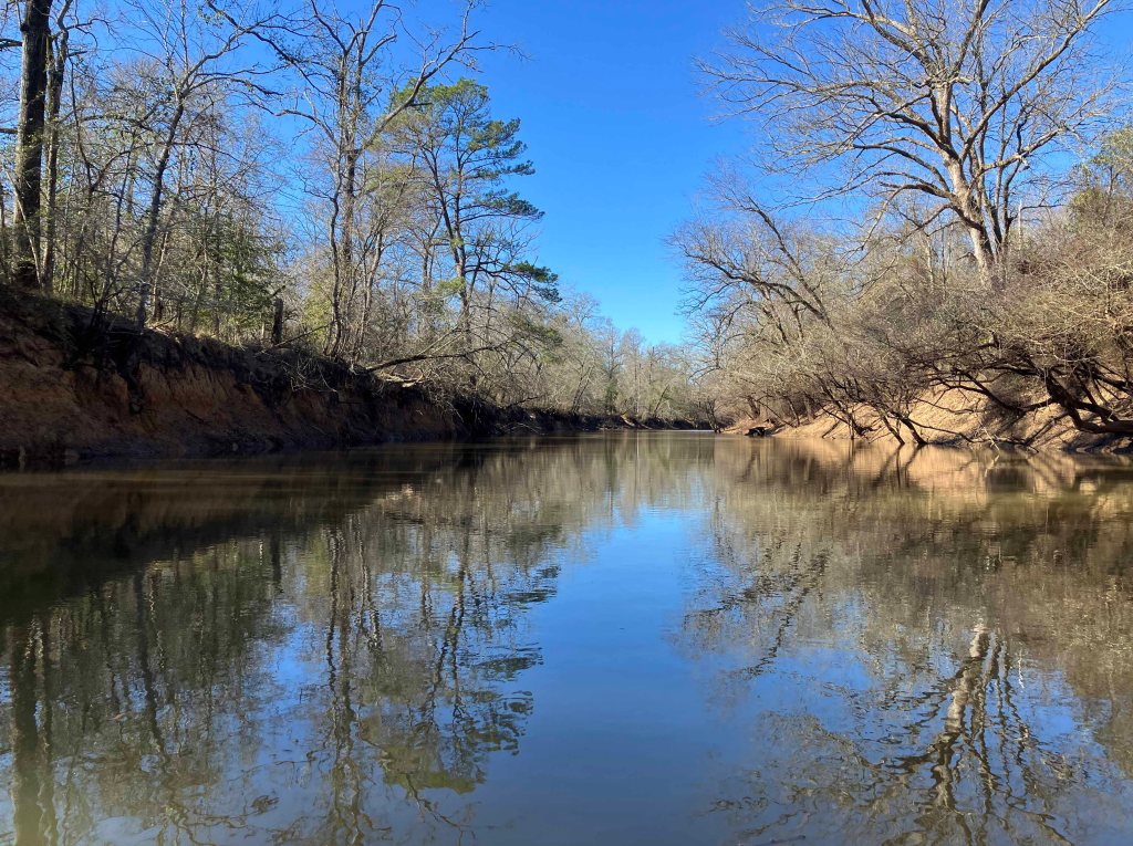 Kayak paddle scenery picture Neches River, CR 1225 Launch, Alderbranch, going up, www.SawdustRiver.com