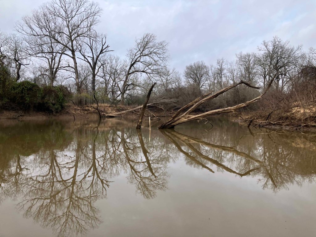 Kayak paddle scenery picture Neches River, Hwy 94 Launch Launch, going up, www.SawdustRiver.com