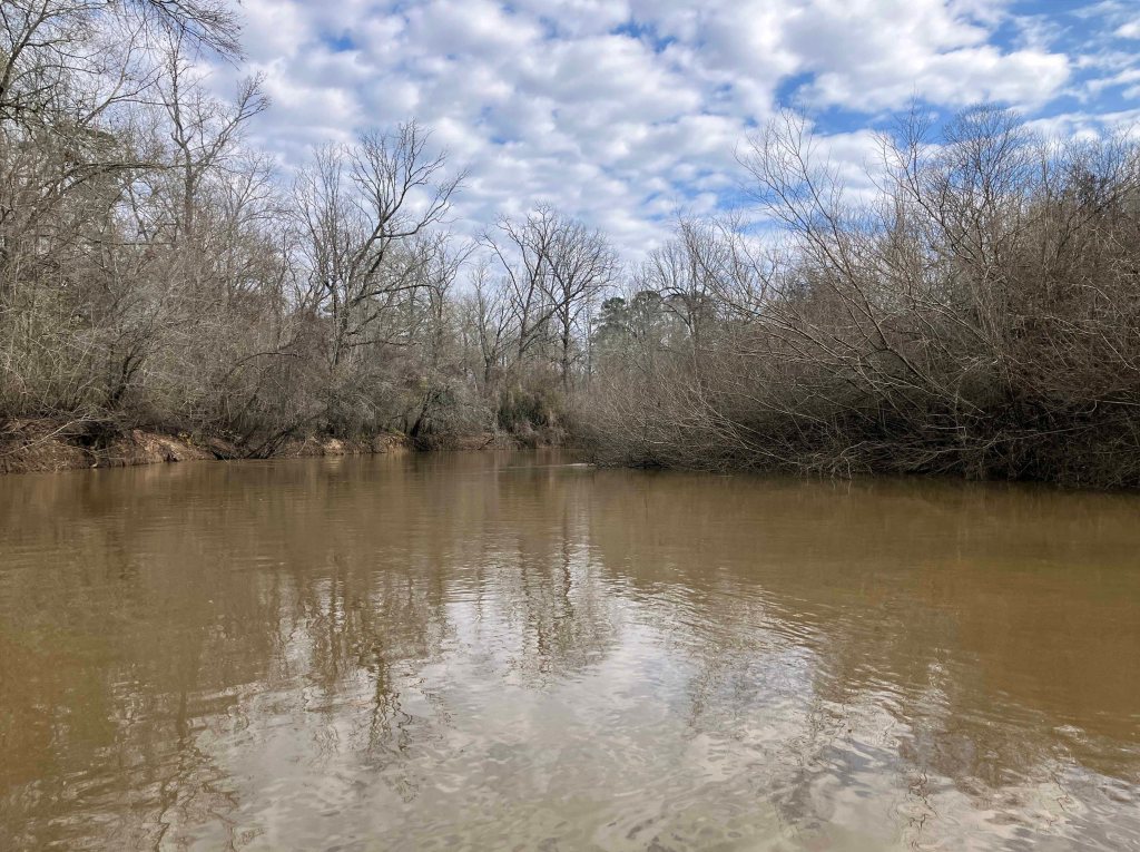 Kayak paddle scenery picture Neches River, Holly Bluff Launch, Alabama Creek WMA, going up, www.SawdustRiver.com