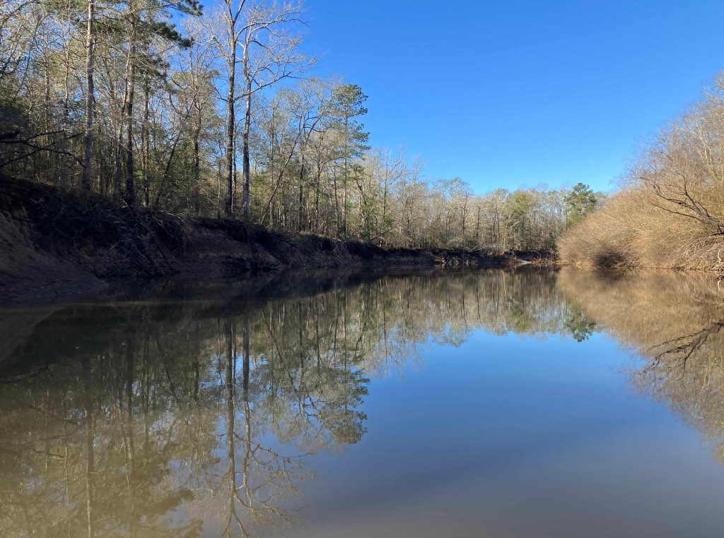 Kayak paddle scenery picture Neches River, Highway 59 Launch, going up, www.SawdustRiver.com