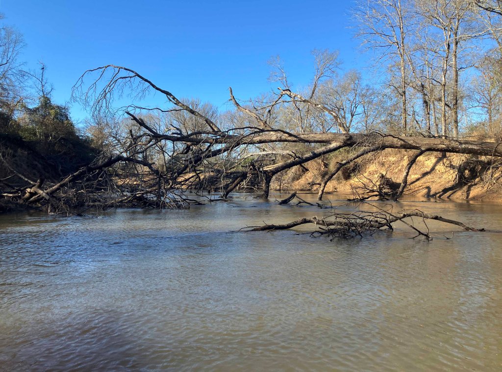 Kayak paddle scenery picture Neches River, CR 1225 Launch, Alderbranch, going up, www.SawdustRiver.com