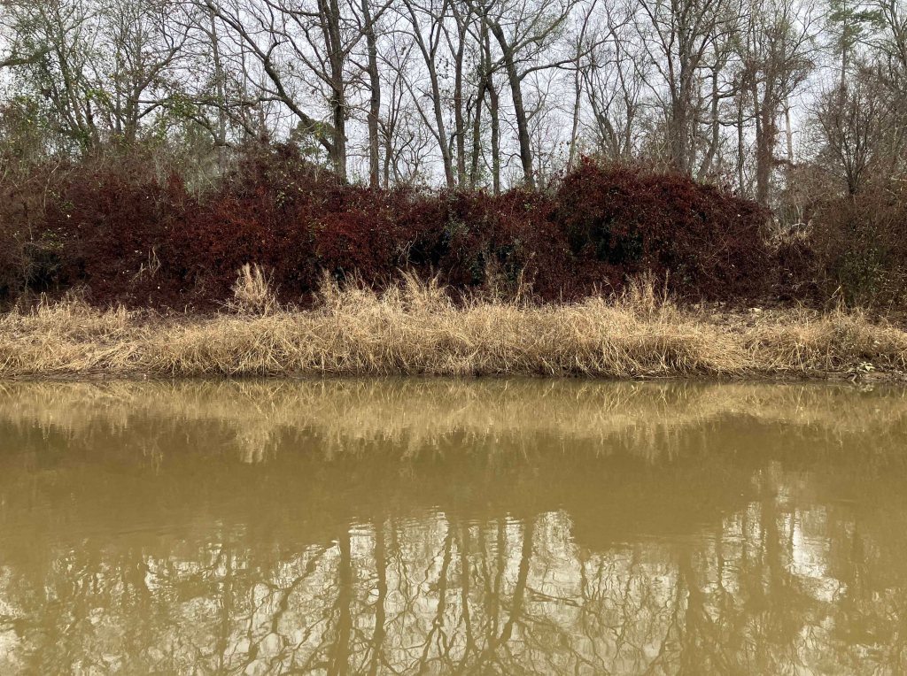 Kayak paddle scenery picture Neches River, Hwy 94 Launch Launch, going up, www.SawdustRiver.com