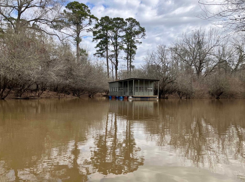 Kayak paddle scenery picture Neches River, Holly Bluff Launch, Alabama Creek WMA, going up, www.SawdustRiver.com