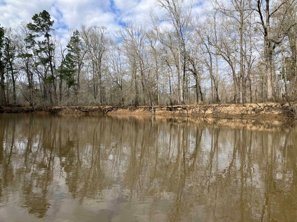 Kayak paddle scenery picture Neches River, Holly Bluff Launch, Alabama Creek WMA, going up, www.SawdustRiver.com