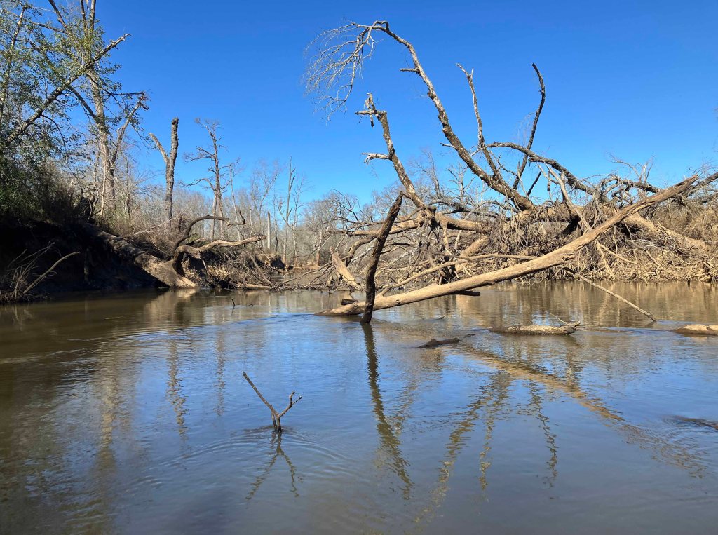 Kayak paddle scenery picture Neches River, CR 1225 Launch, Alderbranch, going up, www.SawdustRiver.com