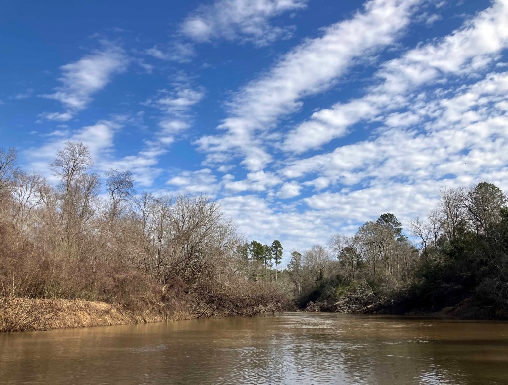 Kayak paddle scenery picture Neches River, Holly Bluff Launch, Alabama Creek WMA, going up, www.SawdustRiver.com