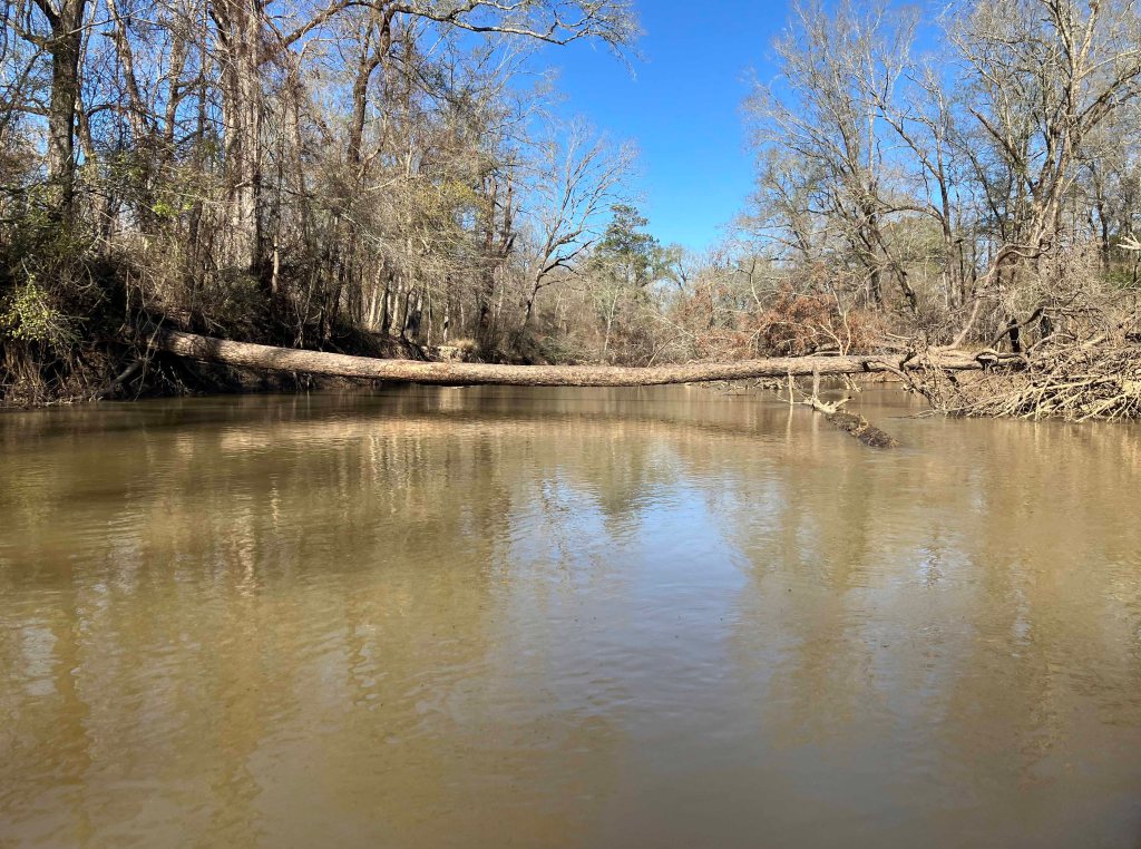 Kayak paddle scenery picture Neches River, Highway 59 Launch, going up, www.SawdustRiver.com