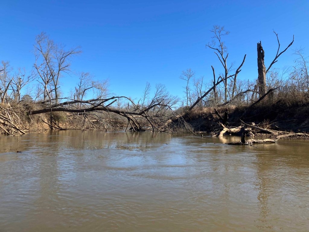 Kayak paddle scenery picture Neches River, CR 1225 Launch, Alderbranch, going up, www.SawdustRiver.com