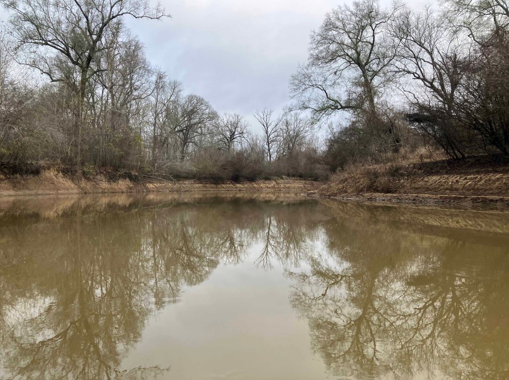 Kayak paddle scenery picture Neches River, Hwy 94 Launch Launch, going up, www.SawdustRiver.com