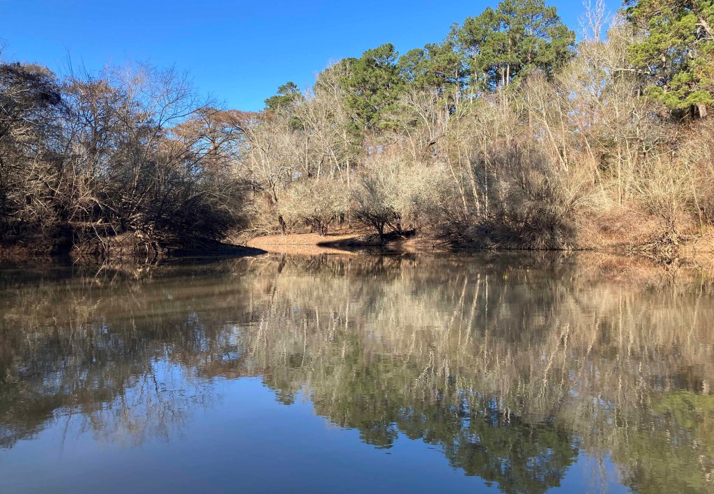 Kayak paddle scenery picture Neches River, Highway 59 Launch, going up, www.SawdustRiver.com