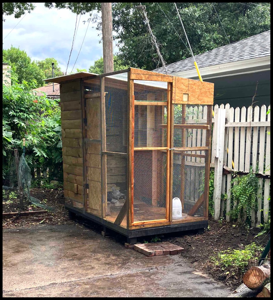 Pigeon Loft Build www.SawdustRiver.com