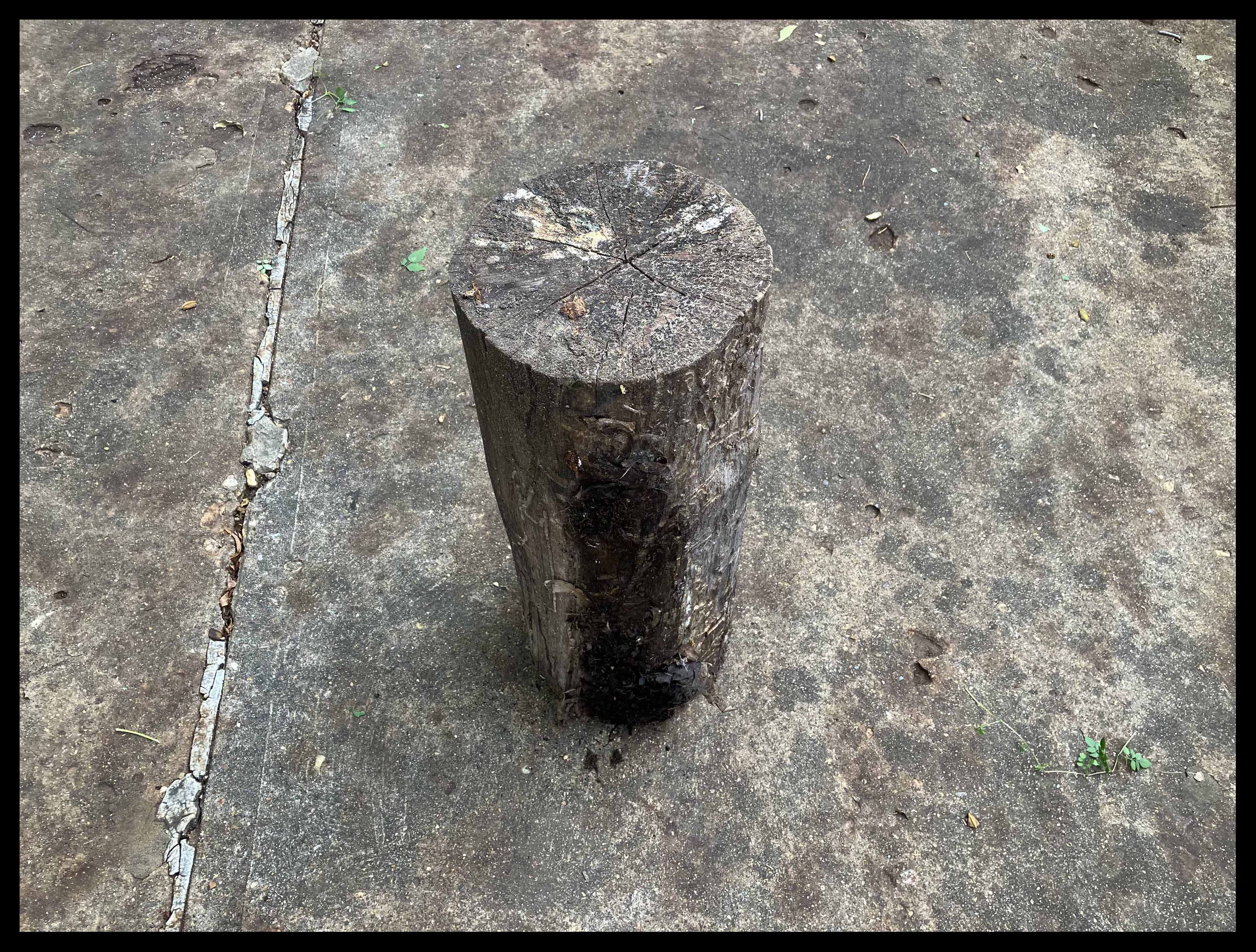 making old log wood tables, step by step process www.sawdustriver.com